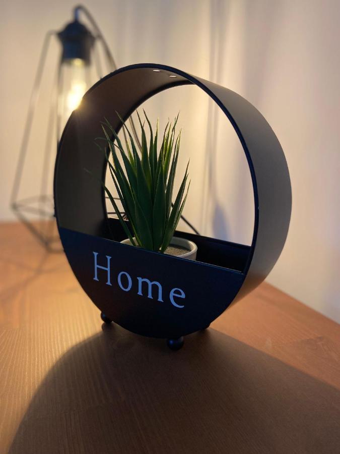 Casas De Lola